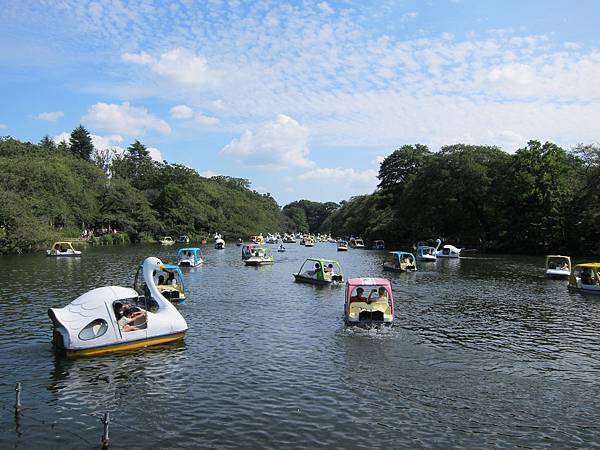 150921-3 井之頭恩賜公園 (4)