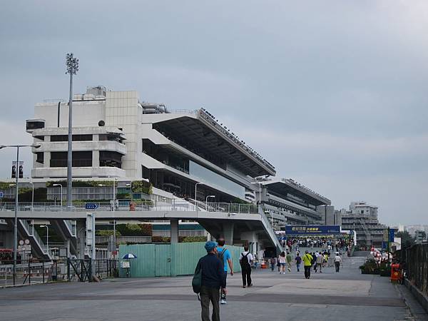 151025-4 沙田馬場 (76)