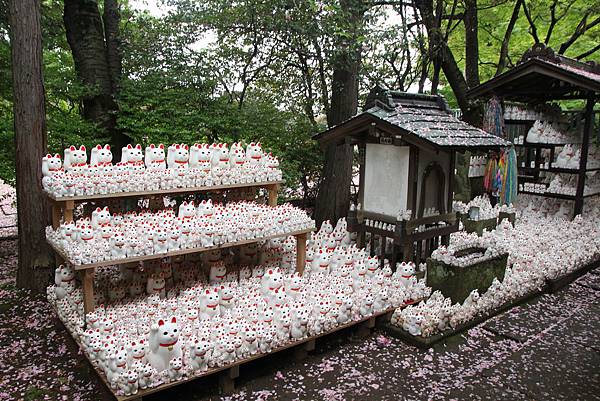 160424-3 豪德寺 (28)