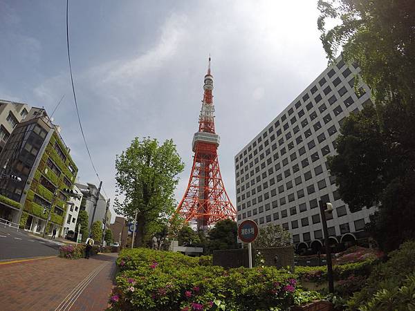 160425-2 東京鐵塔 (3)