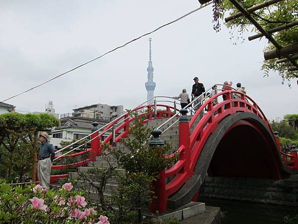 160427-1 龜戶天神社 (6)