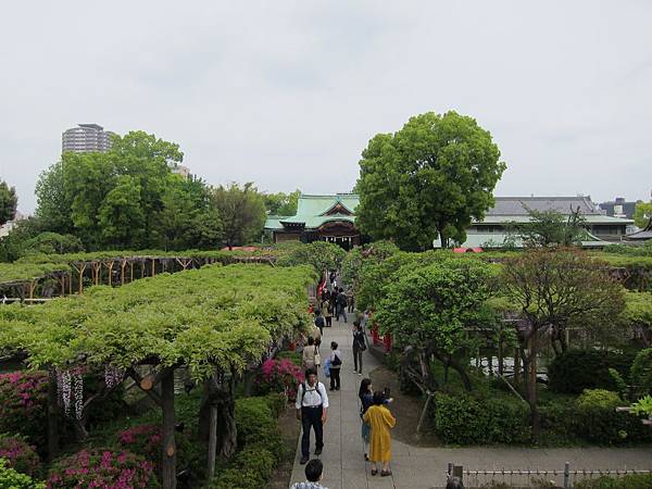 160427-1 龜戶天神社 (10)