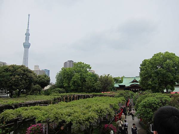 160427-1 龜戶天神社 (11)