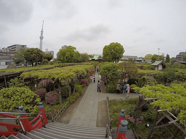 160427-1 龜戶天神社 (12)