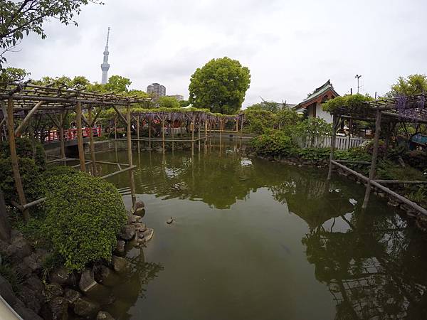 160427-1 龜戶天神社 (17)