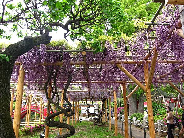 160427-1 龜戶天神社 (22)