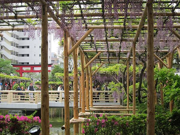 160427-1 龜戶天神社 (38)