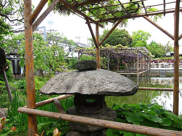 160427-1 龜戶天神社 (44)