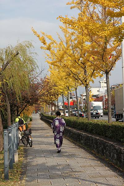 161117-2 京都漫步 (16) 161117-2 京都漫步 (16)