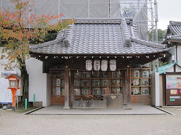 161117-5 八坂神社 (7)