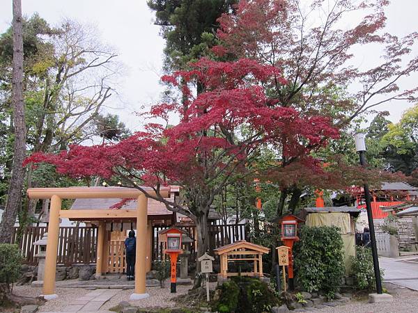 161117-5 八坂神社 (13)