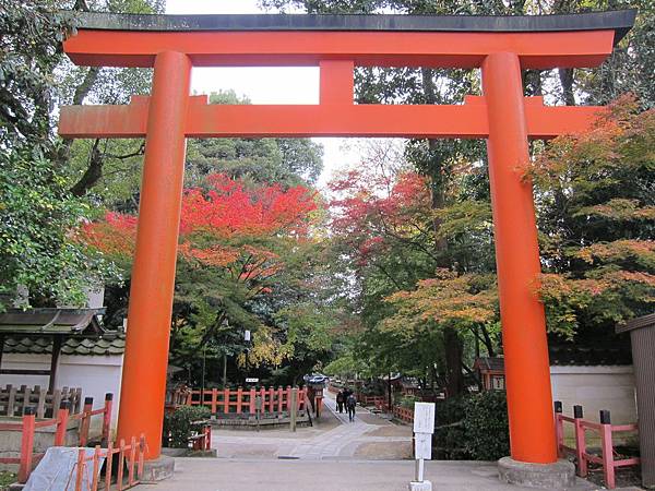 161117-5 八坂神社 (25)