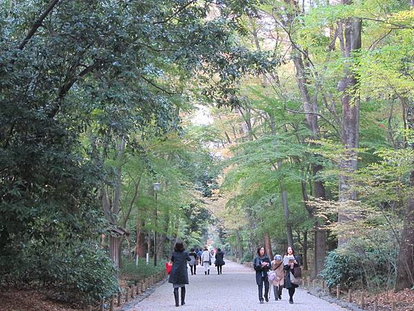 161117-6 下鴨神社 (12)