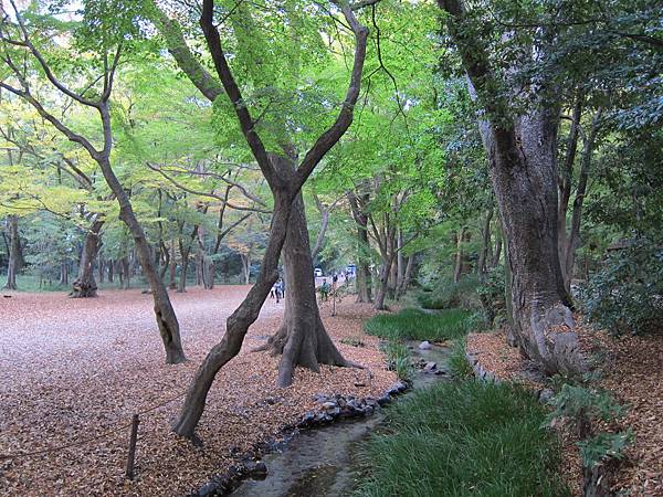 161117-6 下鴨神社 (13)