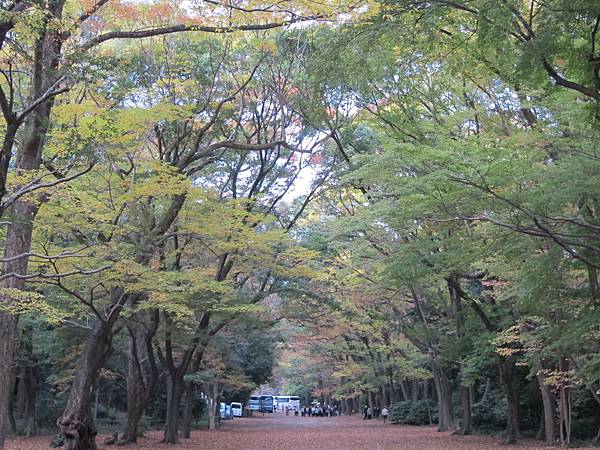 161117-6 下鴨神社 (14)