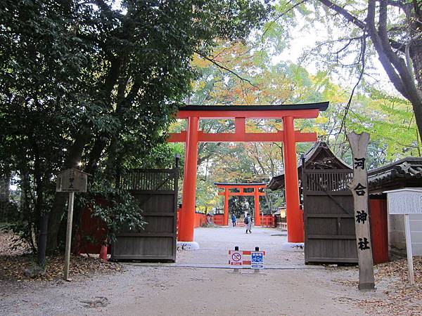 161117-6 下鴨神社 (15)