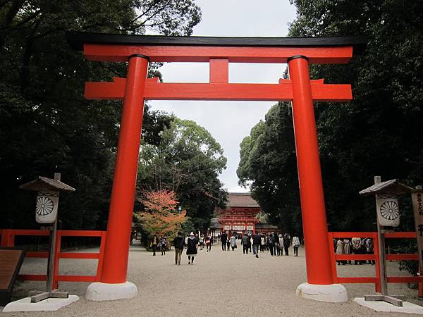 161117-6 下鴨神社 (19)