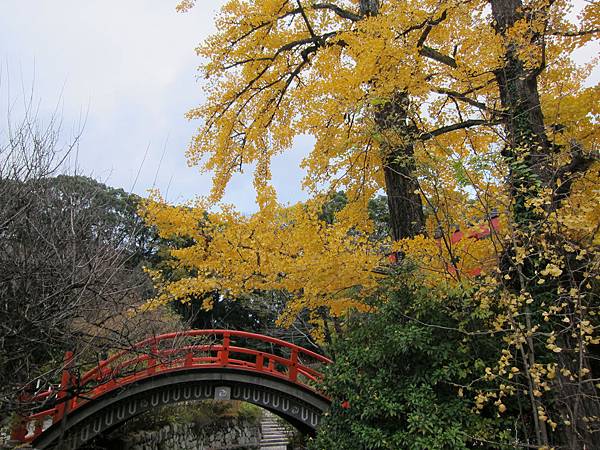 161117-6 下鴨神社 (25)