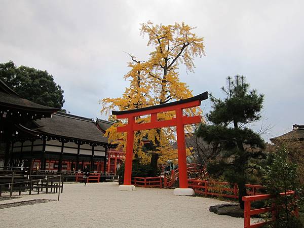 161117-6 下鴨神社 (26)