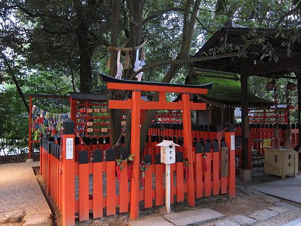 161117-6 下鴨神社 (36)