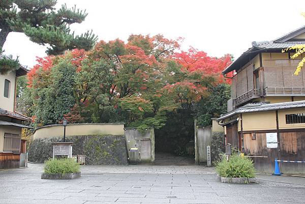 161115-2 高台寺 (1)