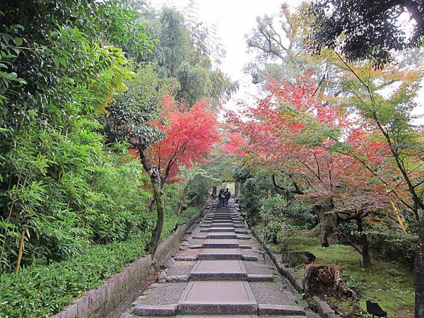 161115-2 高台寺 (3)