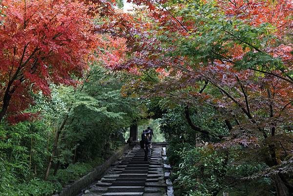 161115-2 高台寺 (4)