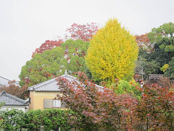 161115-2 高台寺 (15)