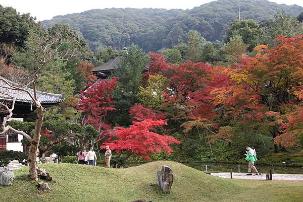 161115-2 高台寺 (26)