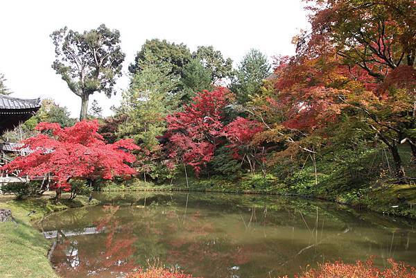 161115-2 高台寺 (36)