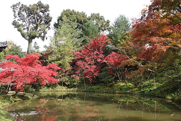 161115-2 高台寺 (37)