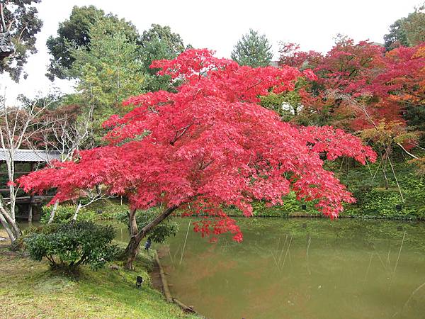 161115-2 高台寺 (40)