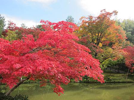 161115-2 高台寺 (41)