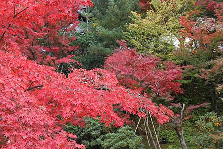 161115-2 高台寺 (42)