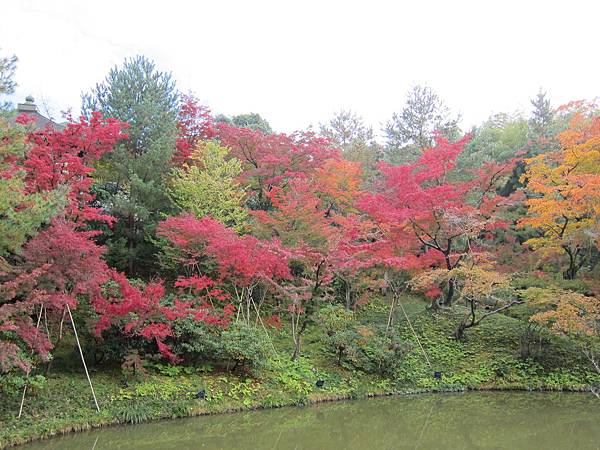 161115-2 高台寺 (46)