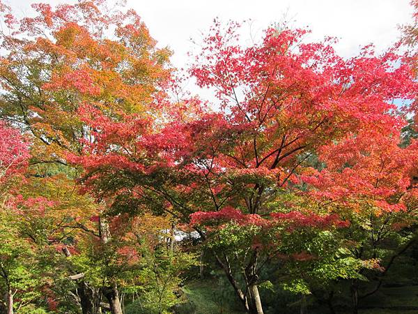 161115-2 高台寺 (49)