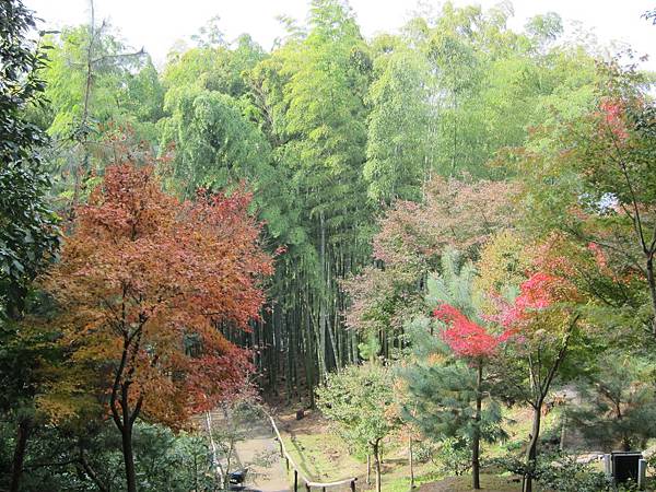 161115-2 高台寺 (56)