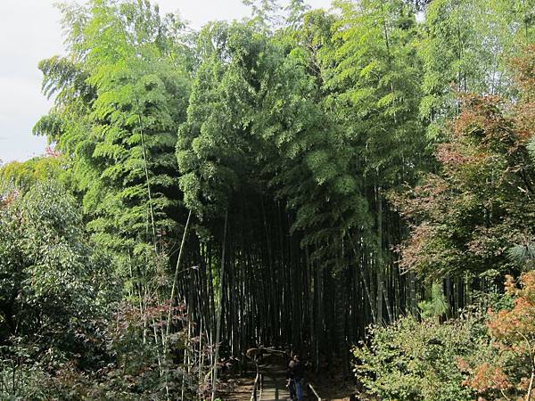 161115-2 高台寺 (58)