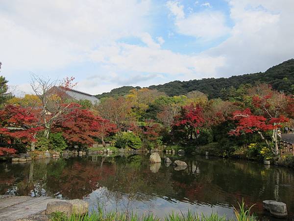 161115-6 円山公園 (28)