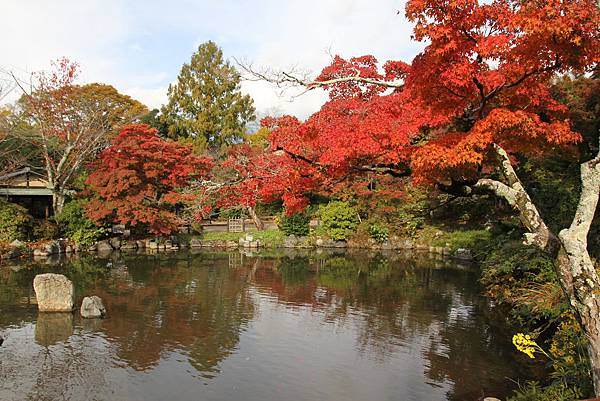 161115-6 円山公園 (29)