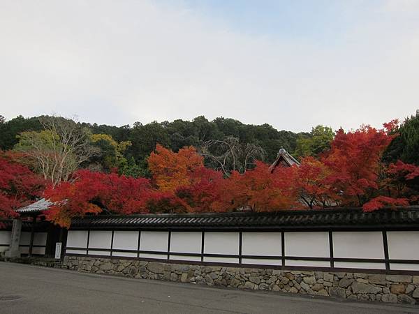 161115-9 南禪寺 (3)