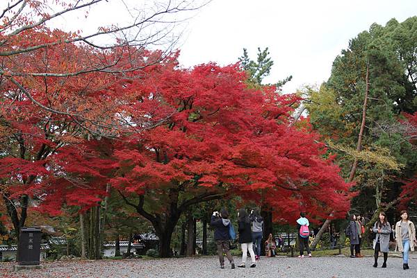 161115-9 南禪寺 (4)