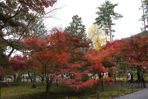 161115-9 南禪寺 (5)