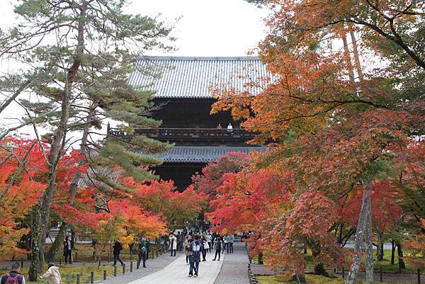 161115-9 南禪寺 (8)