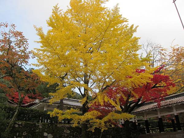 161115-9 南禪寺 (14)