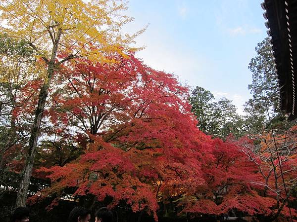 161115-9 南禪寺 (15)