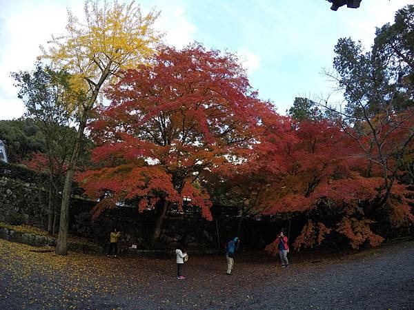 161115-9 南禪寺 (16)