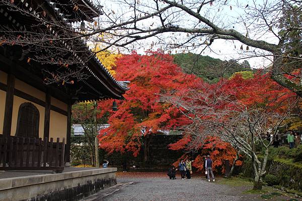 161115-9 南禪寺 (19)