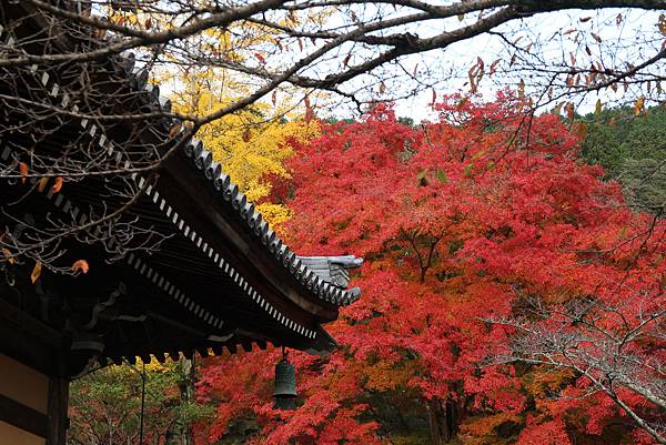 161115-9 南禪寺 (20)