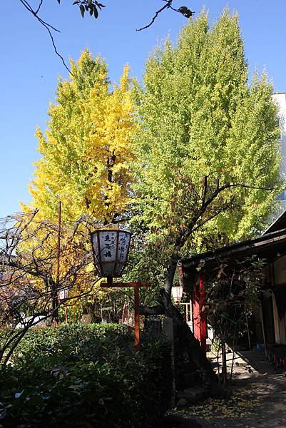 161116-4 辨財天長建寺 (6)